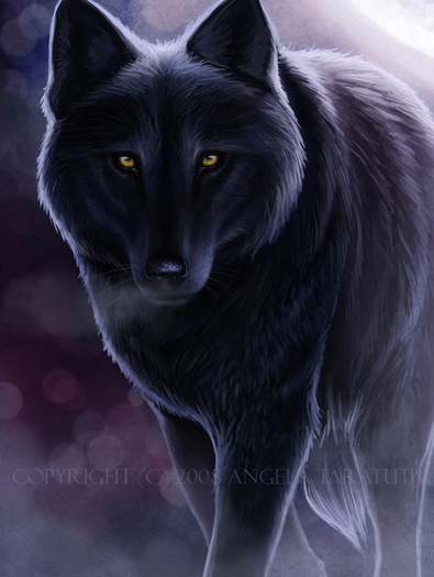 Dark_Wolf_commission_by_Angela_T - lupi