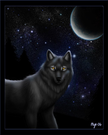 Night_Wolf_by_Myenia - lupi