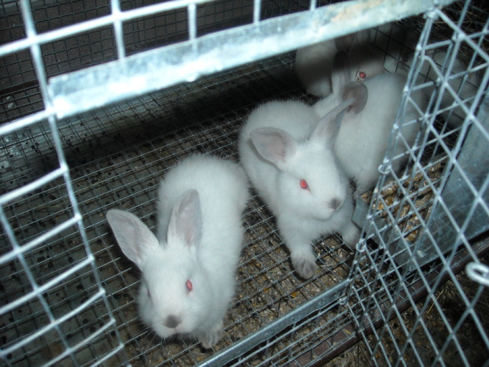 DSCN0957