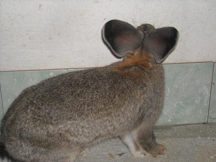 DSCN0967