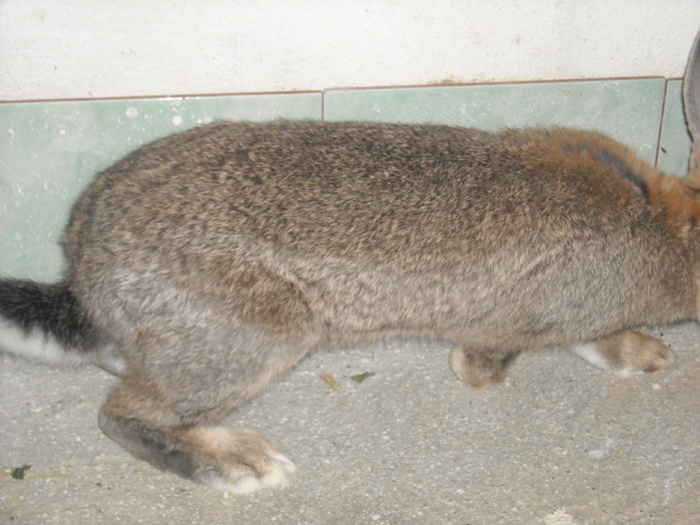 DSCN0968