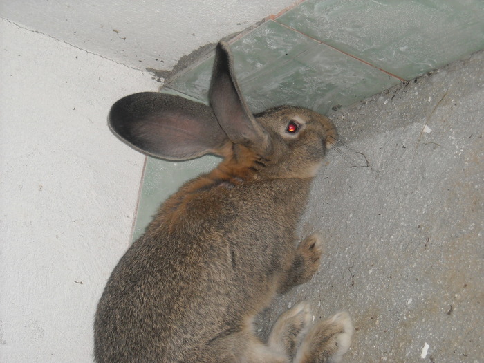 DSCN0970