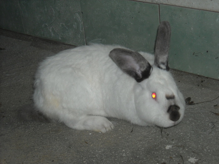 DSCN0973