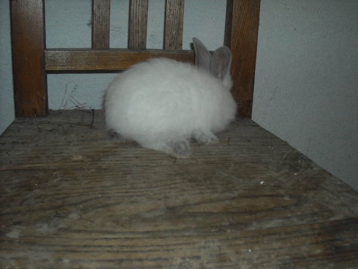 DSCN0978
