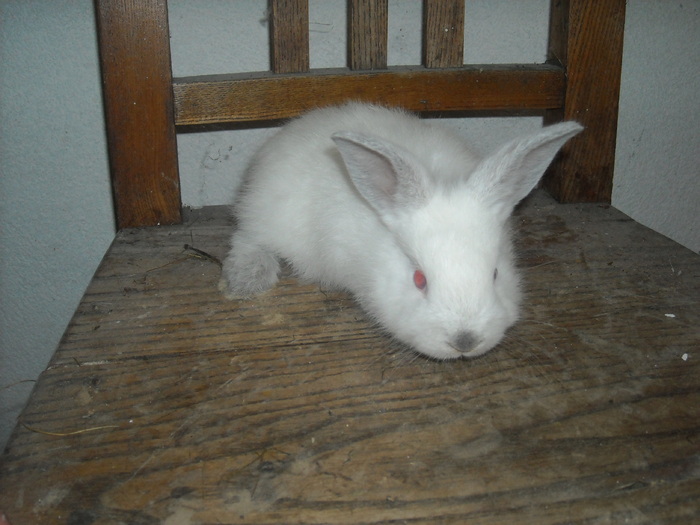 DSCN0987