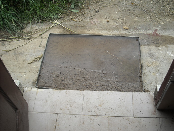 DSCN0988