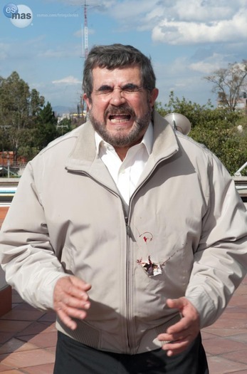 13550066_XPCBTWRDV - Camaleones