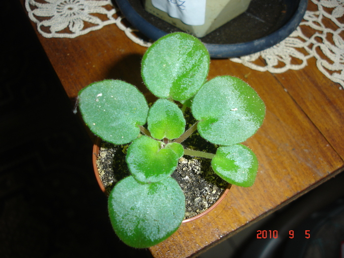 DSC09140