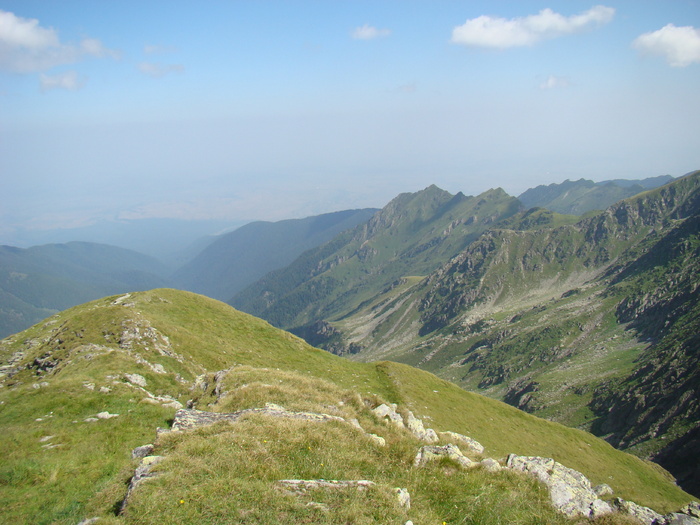 DSC05950
