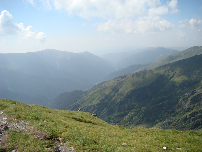 DSC05952