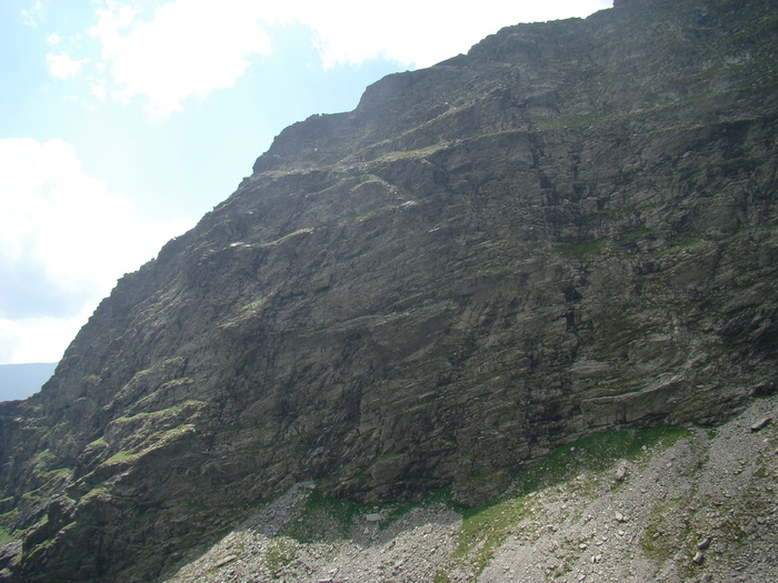 DSC05956