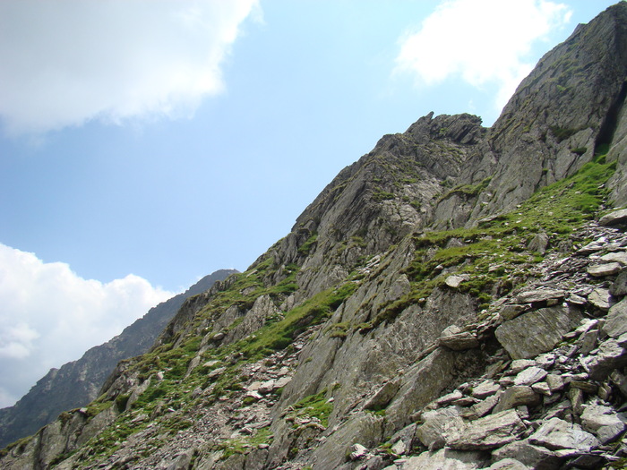 DSC05975