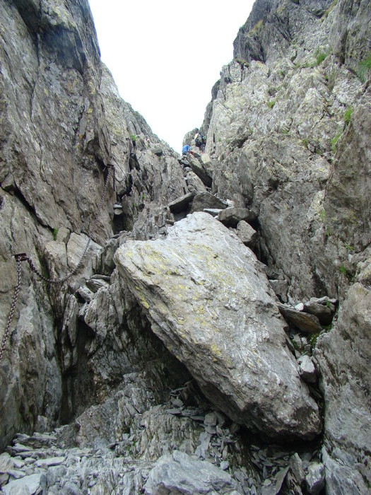 DSC05977