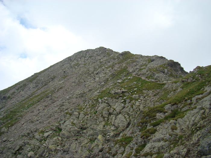 DSC05983