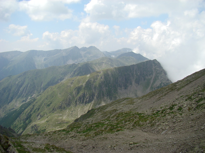 DSC05984