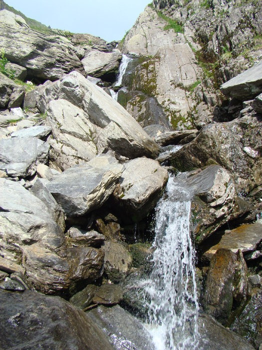 DSC06003