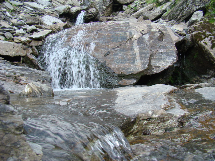 DSC06007