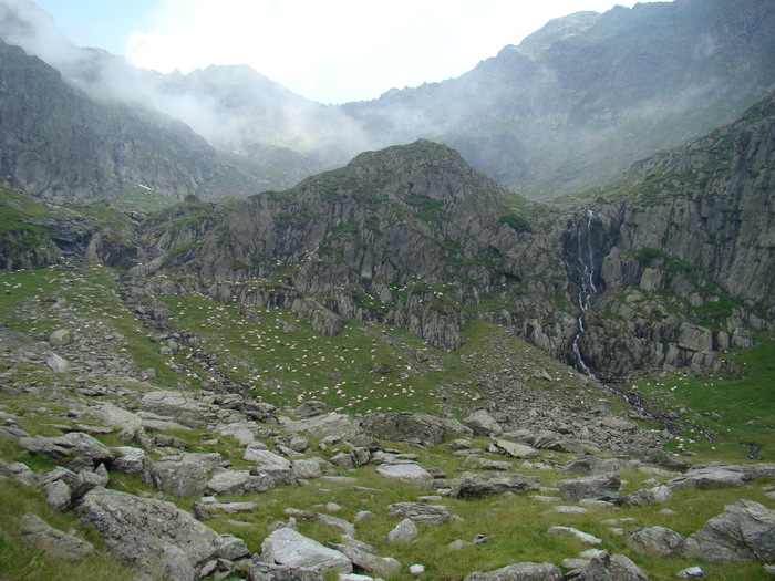 DSC06009