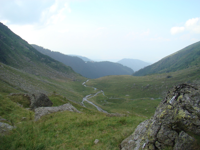DSC06010