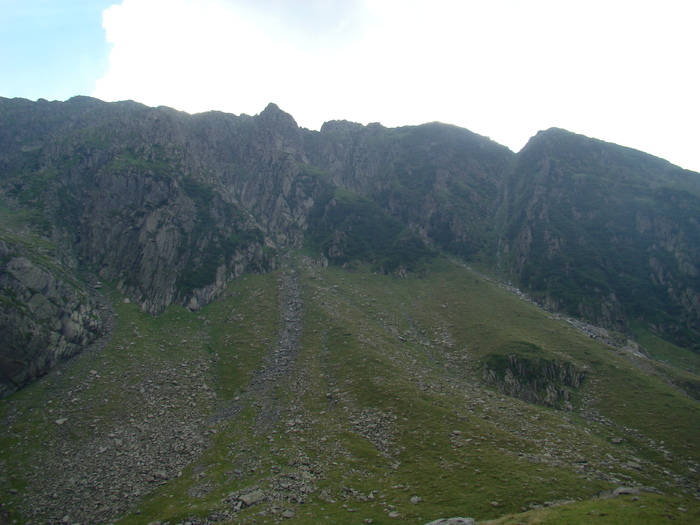 DSC06011