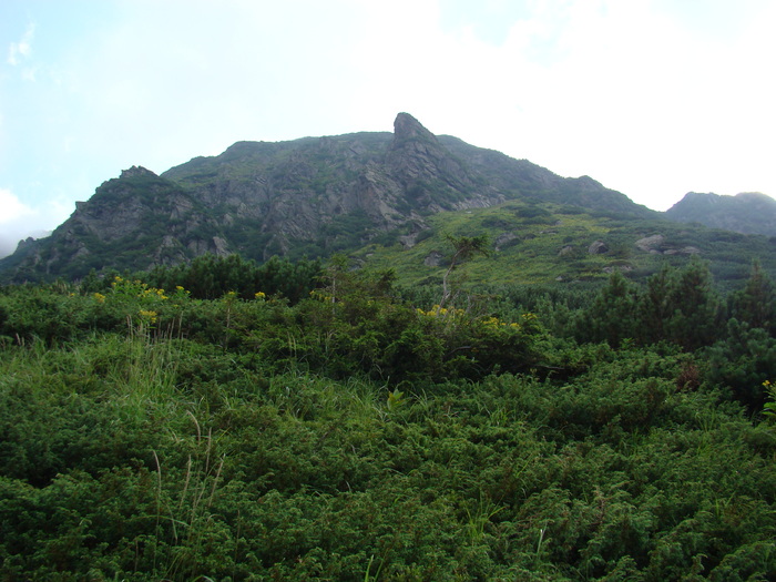 DSC06014