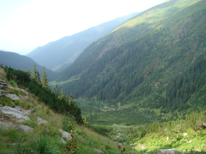 DSC06015