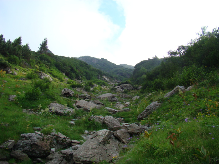 DSC06016