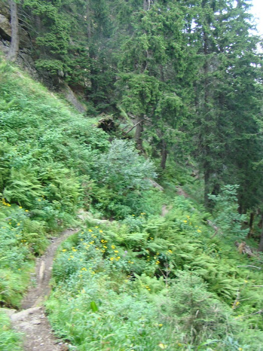 DSC06019