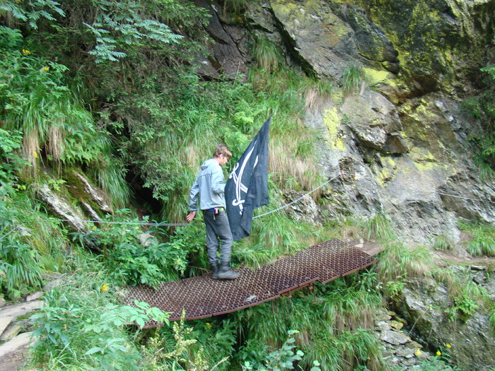 DSC06020