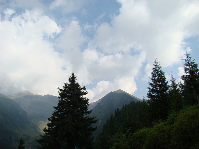 DSC06023