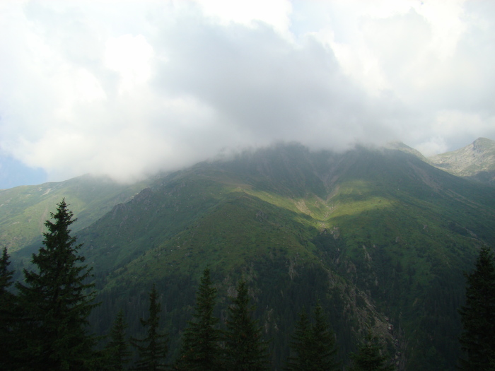 DSC06024