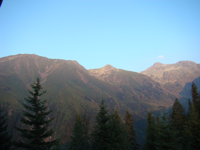 DSC06027