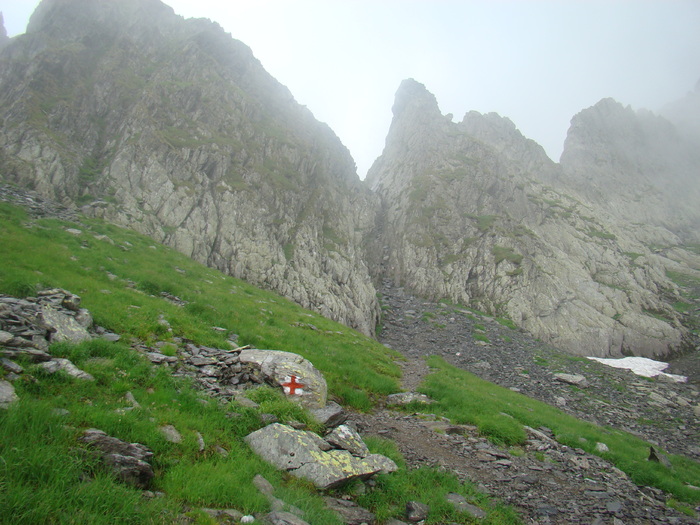 DSC06028