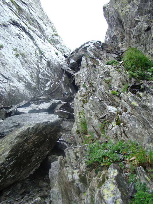 DSC06034