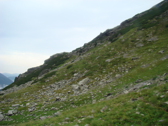 DSC06048