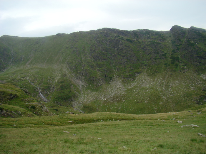 DSC06050