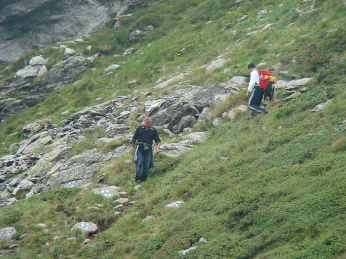 DSC06052