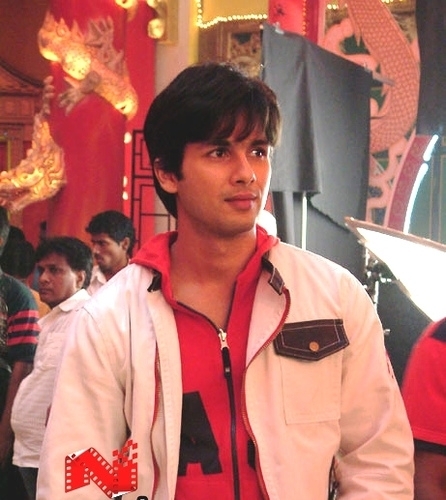 hes-damn-cool-shahid-kapoor-7558279-446-500 - SHAHID KAPOOR