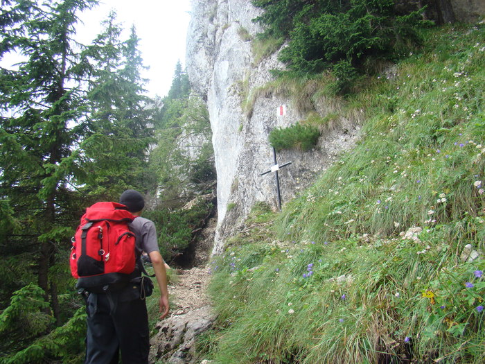 DSC06126 - Piatra Craiului