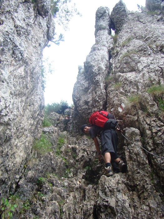 DSC06128 - Piatra Craiului