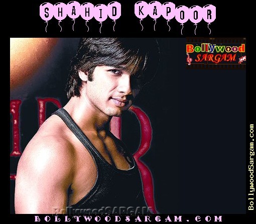 Shahid_Kapoor_BollywoodSargam_342715