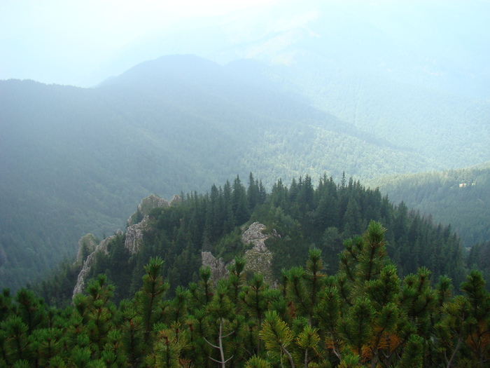 DSC06133 - Piatra Craiului