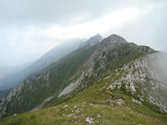 DSC06142 - Piatra Craiului