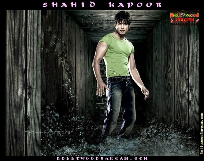 Shahid_Kapoor_BollywoodSargam_laughing_272045