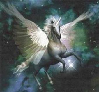 images[7] - uNicorni