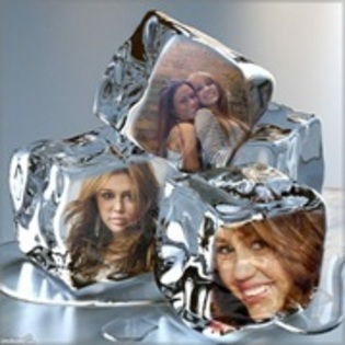 11635128_JEKOIVMTV - miley-hannah