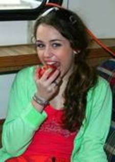 14624583_TSKWMCBXP - miley-hannah
