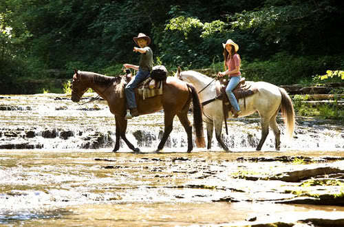 horses2[1] - miley-hannah