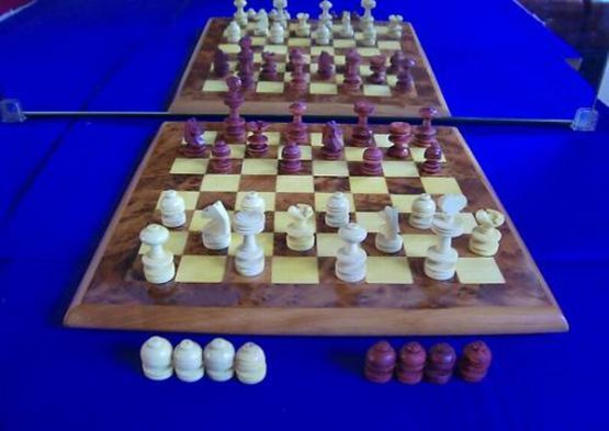 Sah din lemn de thuja2