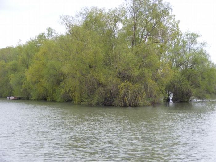 rt-delta_dunarii_03[1]